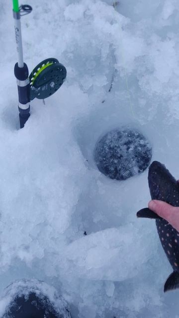 Зимняя рыбалка на Камчатке село Мильково река Камчатк смотреть онлайн