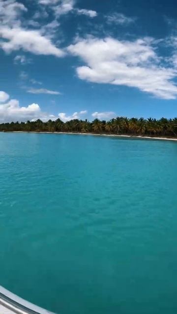 Катер, карибский бассейн, морские звезды FlaminGO365. #shorts смотреть онлайн