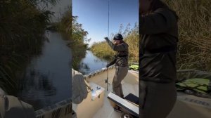 ВОТ ЭТО РЫБАЛКА. ОКУНЯ НА ГВОЗДЬ! ОКТЯБРЬ 2024