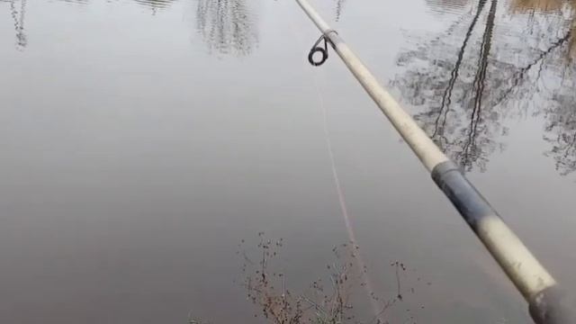 Что-то тяжёлое тягаю со дна. Кидаю силикон. Спиннинг. смотреть онлайн