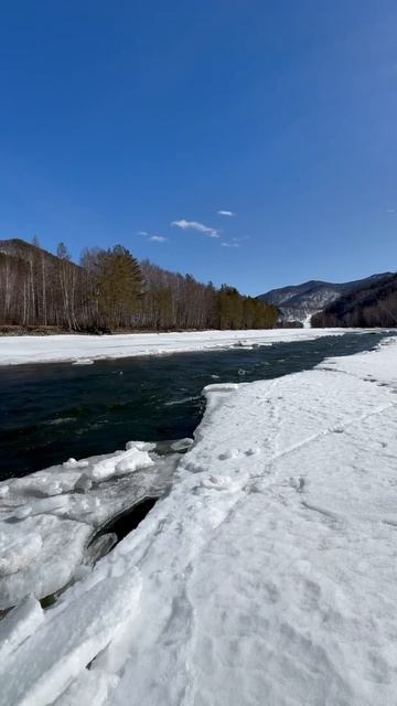 60с мало😁 2 дня в с. #Чарыш, Алтай! #WelcomeRUS #природа #рыба? смотреть онлайн