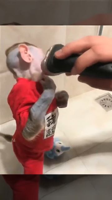 НЕ ЧЕМ ОПИСАТЬ СМОТРИТЕ САМИ : ) : ) :) смотреть онлайн