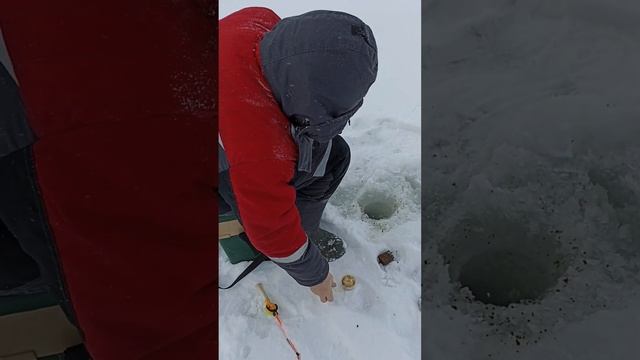 Вятка. Ищем сопу! смотреть онлайн