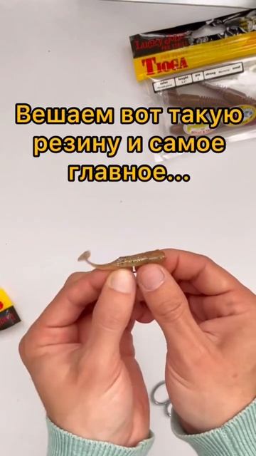Инструкция по ловле окуня. #short #shortvideo #shorts #perth #fishing #рыб смотреть онлайн