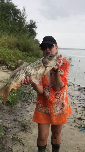 #природа #рыбалка #отдых #хобби #дон #сазан #люблю я его ? смотреть онлайн