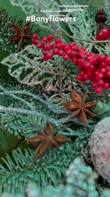 Новогодняя композиция с нобелисом с елочными украшен? смотреть онлайн