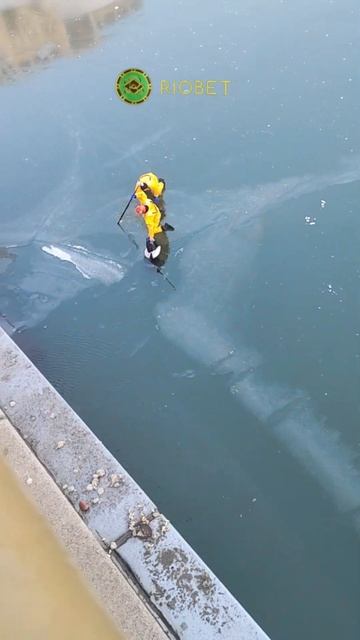 Неудачная рыбалка смотреть онлайн