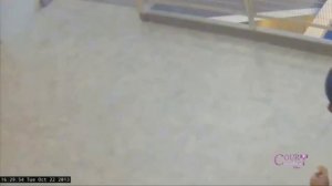 Джек Краймер: удаленное видео 3