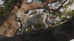 Муфаса: Король Лев - Прощай | Полная клип (Песня) из филь