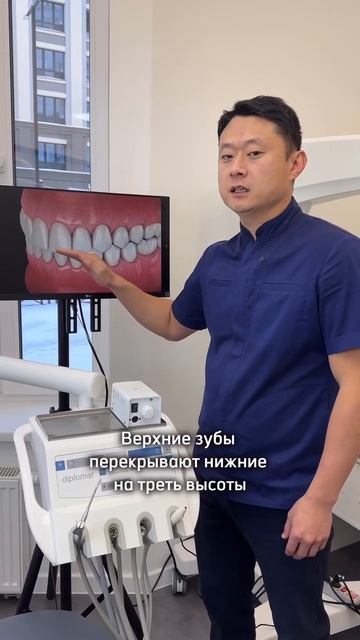 Каким должен быть правильный прикус? #докторюн #стомат смотреть онлайн