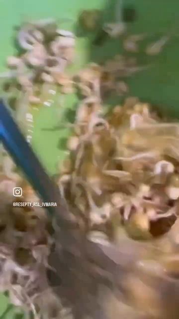 Завтрак «ростки маша» смотреть онлайн