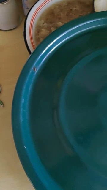 Мотылёк! Холодец! смотреть онлайн