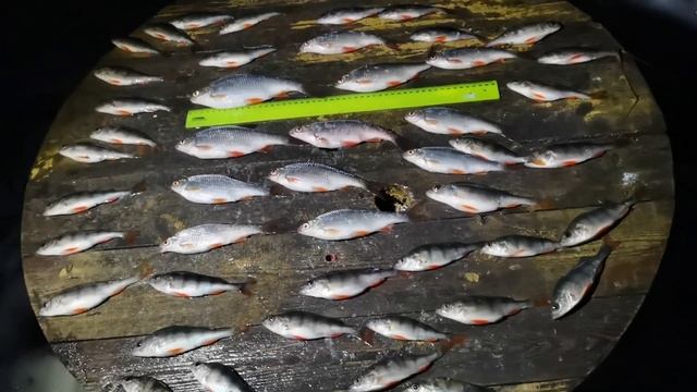 Озеро Глухое Новосибирск 02.04.24. смотреть онлайн