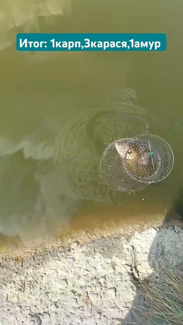 Рыбалка в Таганроге