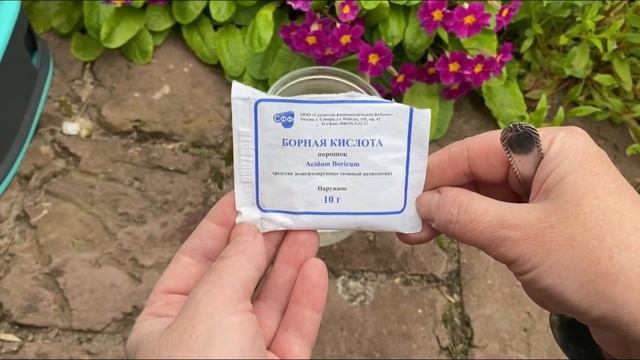 Опрыскивание помидоров борной кислотой: когда и в как? смотреть онлайн