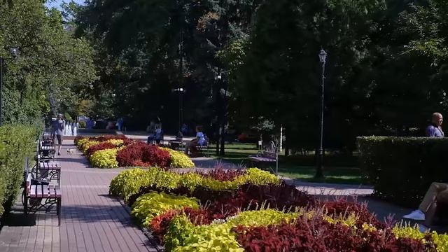 Плюсы и минусы Воронежа: что за город, что посмотреть, куда пойти?