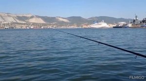 морская рыбалка в Новороссийске