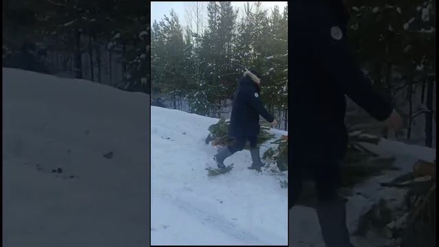 Элитная новогодняя ёлка (сосна) в конце сезона смотреть онлайн