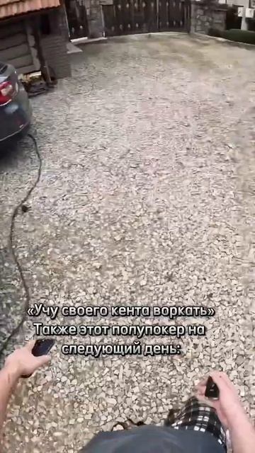 деньги просто#заработок #интересно #интернет #работа смотреть онлайн