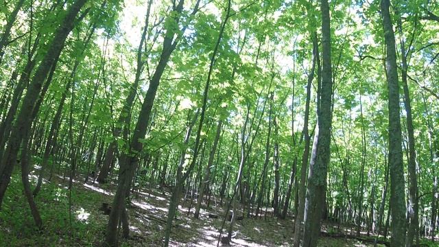 GP018008_1747149813116.MP4 смотреть онлайн