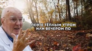 Питание для почек - простые продукты, которые чистят почки