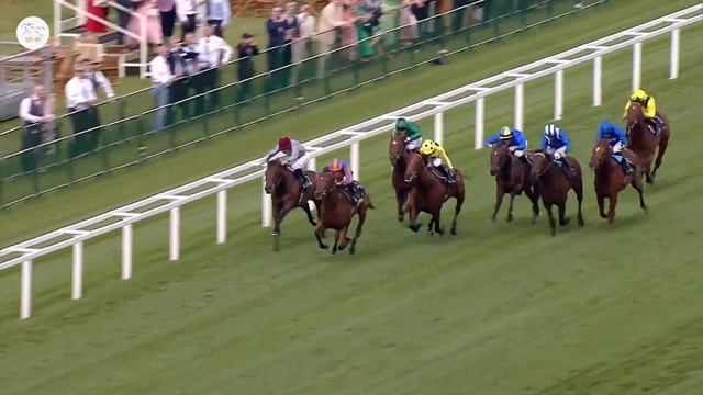 Royal Ascot 2024 - 10 Лучших моментов!