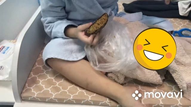 Матвей и Папа выходные в бассейне / Matvey and Daddy weekend in the poo смотреть онлайн