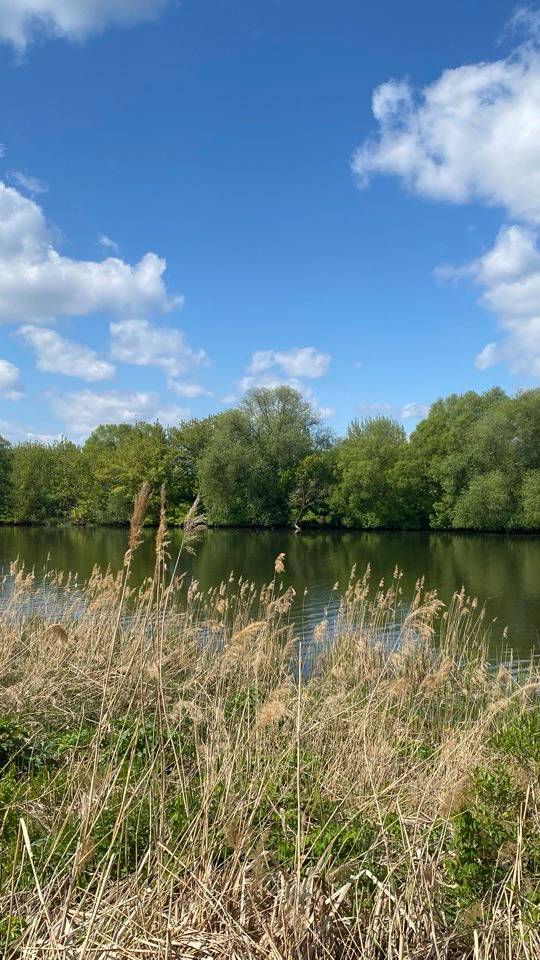 kusaka смотреть онлайн