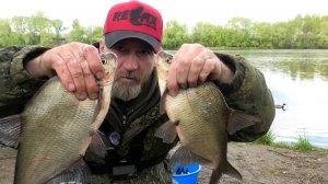 ВСТРЕЧА С ДИКИМ КАБАНОМ НА РЫБАЛКЕ!