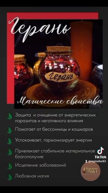 магические свойства герани смотреть онлайн