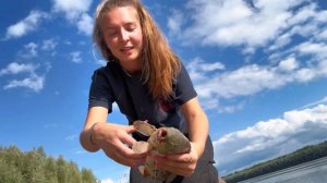 Рыбалка в Сузуне на Оби. Первый сазан