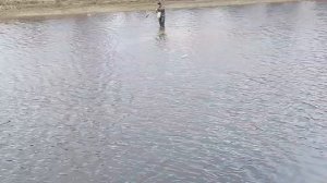 Рыбалка на камбалу в блези белого моря.