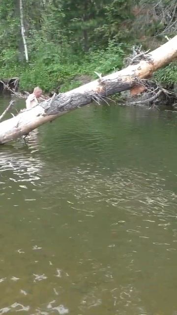 1148 ВЫЖИВАНИЕ ВОДА T=0°C Тайга #иииразум #рыбалка #тайга #?