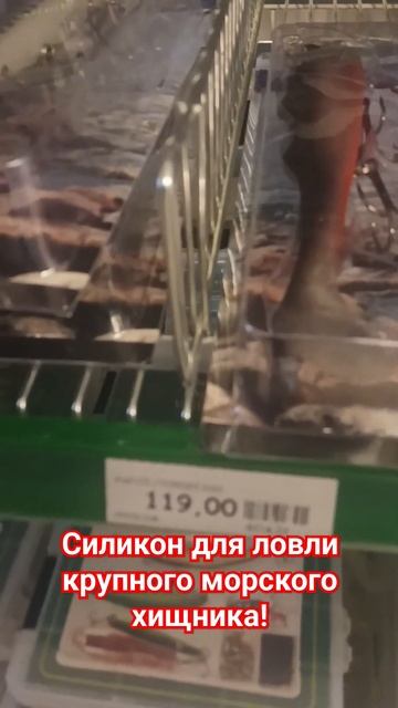 🎣СИЛИКОН ДЛЯ КРУПНОГО ХИЩНИКА #рекомендации #bigfish #ры? смотреть онлайн