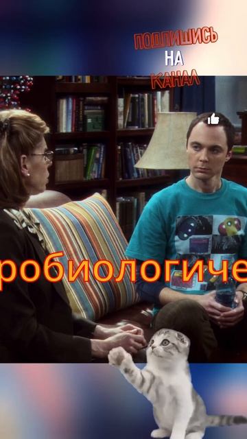 Твой друг говорит с твоей мамой Теория Большого Взрыв? смотреть онлайн