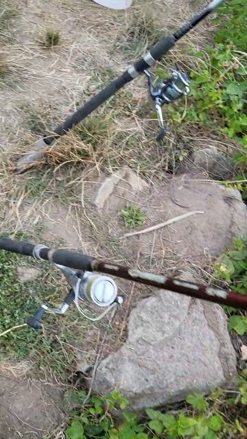 Рыбалка на Судака летом. 08.08.2022.река Майн.