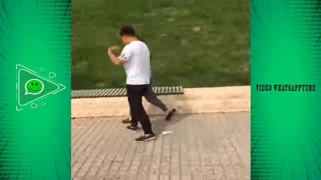 Китайский прикол смотреть онлайн