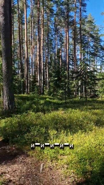 Как бюджетно и быстро построить дом у озера. #до? смотреть онлайн