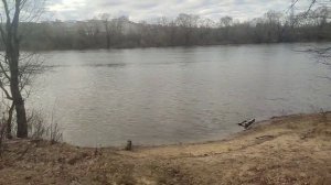 Тест Kaida "Level Feeder" 390\120, + сравнение "Level Feeder" 360\120, +жесть