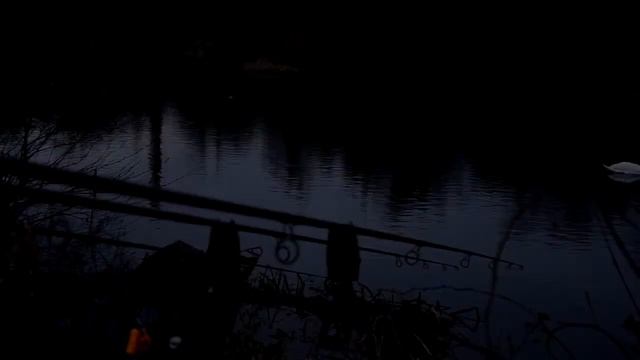 Karpfen Und Rapfen Im Winter  / ловля карпа и жереха зимой