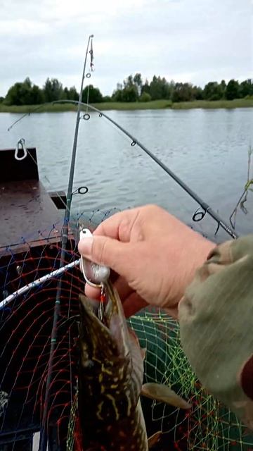 Рыбалка в Беларуси. Щука "проходная" на "Атом" в дождлив смотреть онлайн