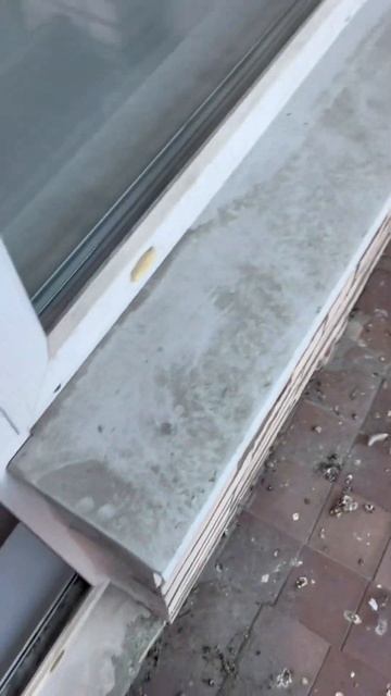 Наряю в бассейн с г #голуби #кот #кошка #красотка #балко? смотреть онлайн