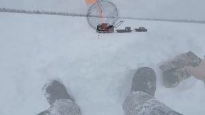 ЖЕРЛИЦЫ ДЛЯ ОКУНЯ