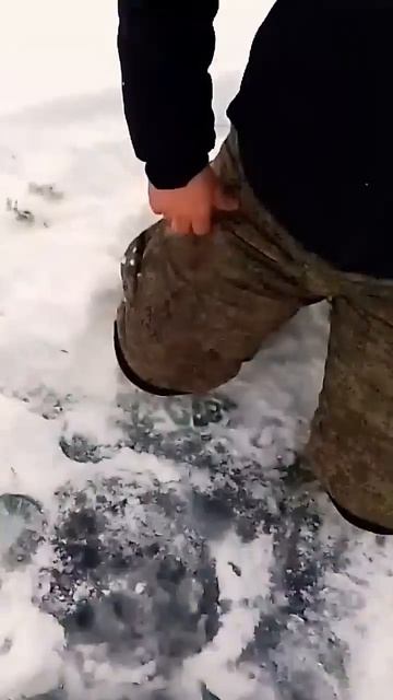 Первый лёд 2024-25!!! Щука на жерлицу! #fishing #рыбалка
