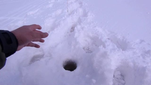 За окунем по зимнику на Красный яр о. Большое.