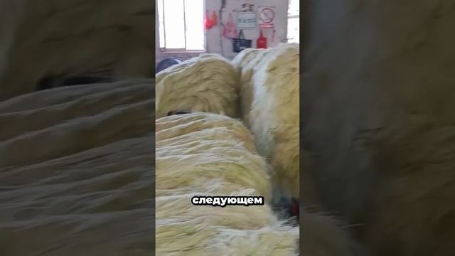 Делают обувь прям из агавы 😱