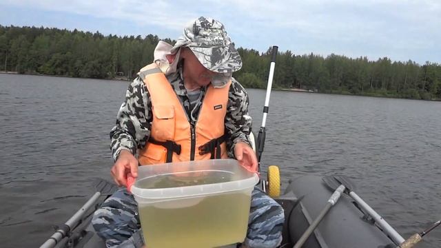Троллинг на Вселуге. Судак, щука и зацепы. Рыбалка на н?