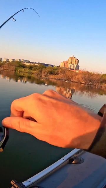 Микроджиг на Gamakatsu Hana S69FL-solid. #fishing #рыбалка #fish #микродж? смотреть онлайн