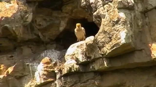 Природен парк "Русенски Лом" смотреть онлайн