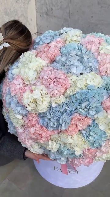 #hydrangea#macrophylla#hortensia#гортензия#garden#гортензія #shorts#アジサイ